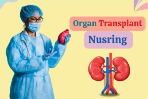 Transplant Nursing: 5 Harsh Realities You Need to Know